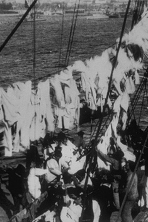 Ramassage du linge постер