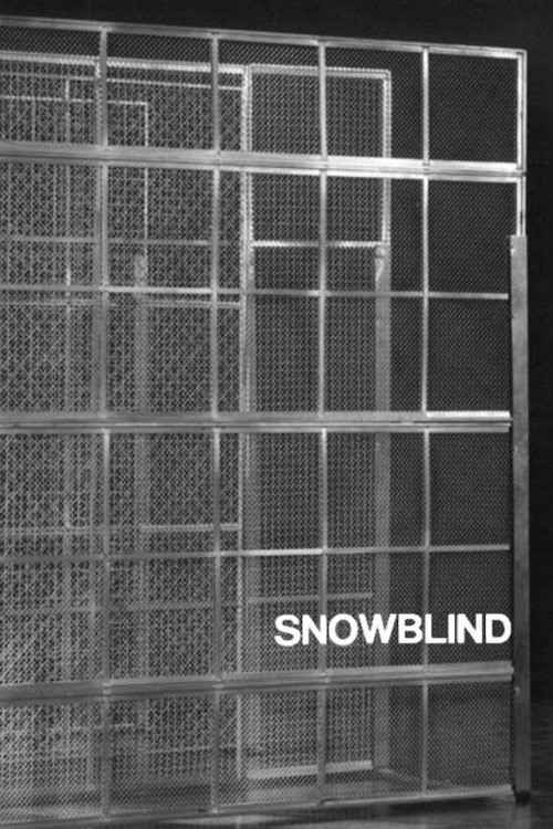Snowblind постер