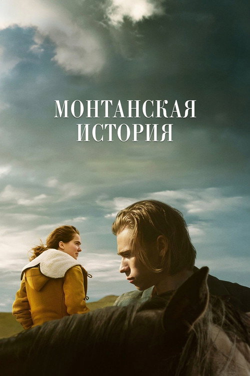 Монтанская история постер