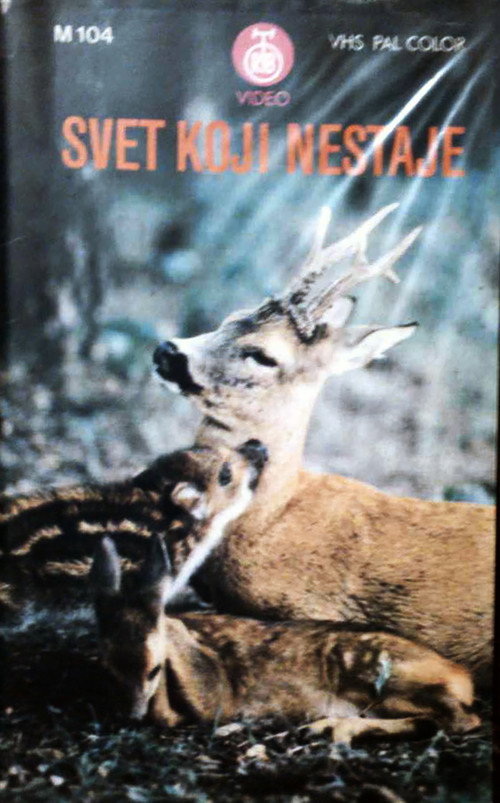 The Vanishing World постер