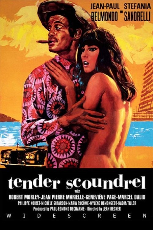 Tender Scoundrel постер