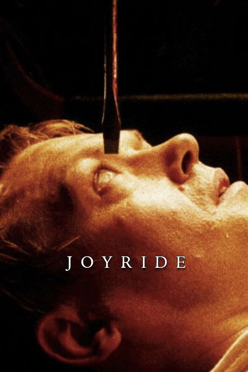 Joyride постер