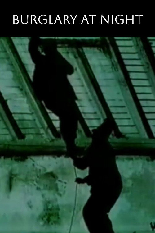 Dévaliseurs nocturnes постер