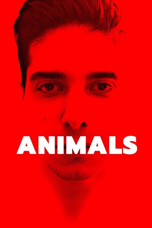 Animals постер