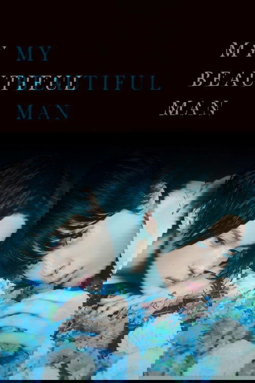 美しい彼 постер