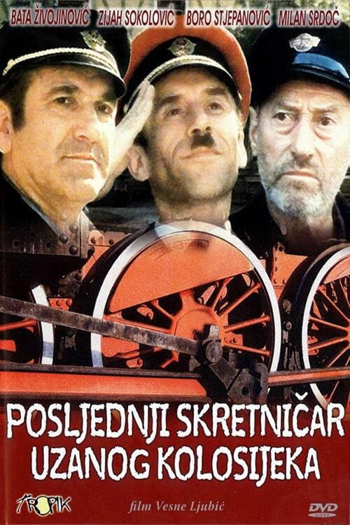 The Last Switchman of the Narrow Gauge Railway постер