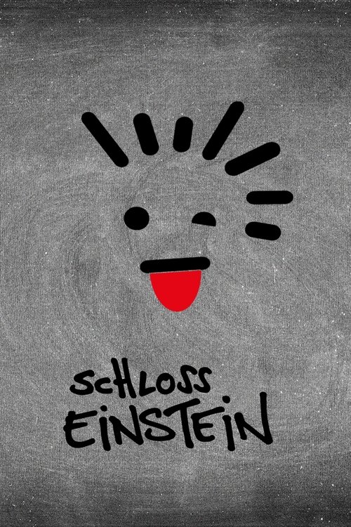 Schloss Einstein постер