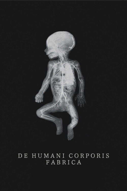 De Humani Corporis Fabrica постер