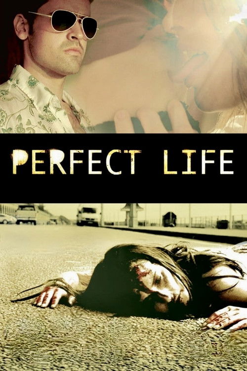 Perfect Life постер