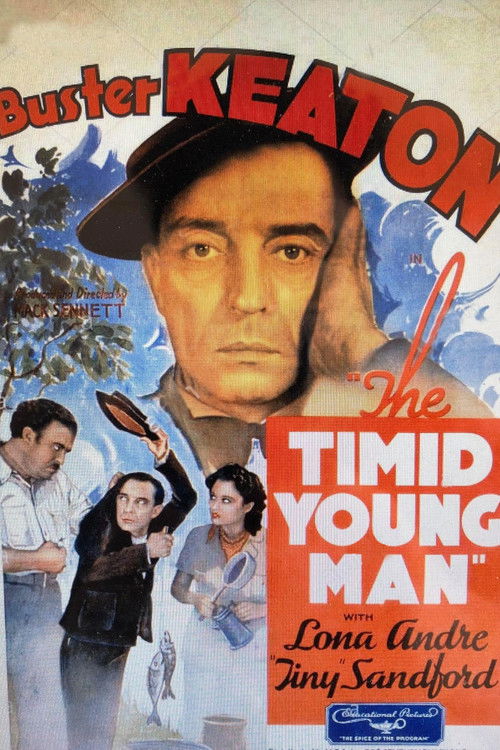 The Timid Young Man постер