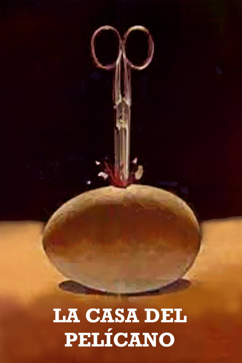 La casa del pelícano постер