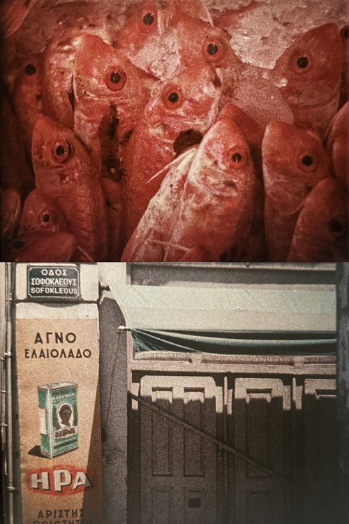 Efpsychi постер