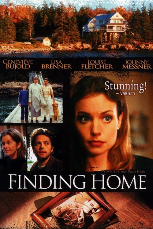 Finding Home постер