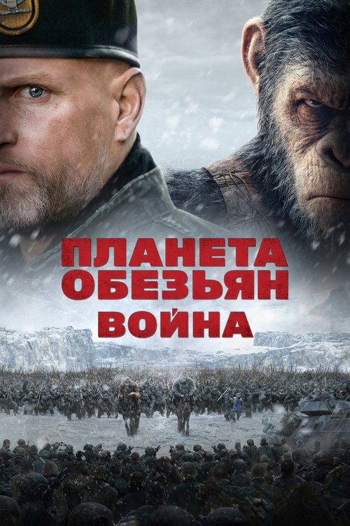 Планета обезьян: Война постер