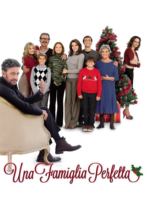 A Perfect Family постер