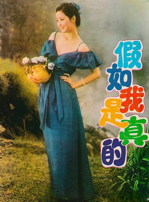 假如我是真的 постер