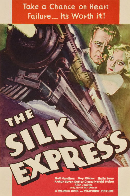 The Silk Express постер