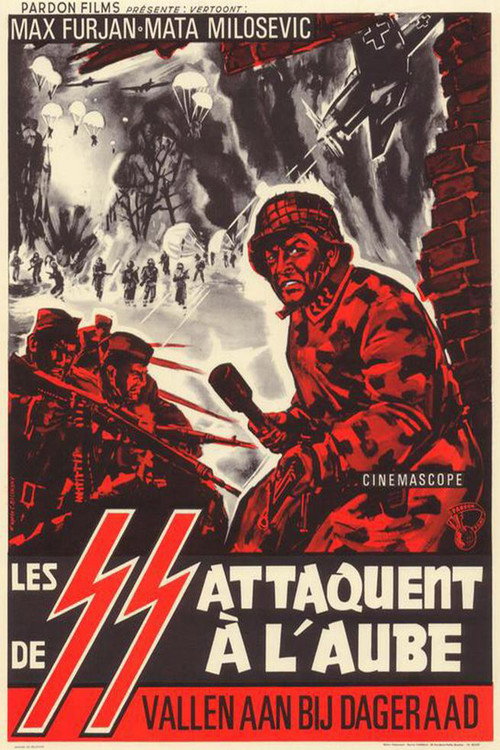 Десант на Дрвар постер