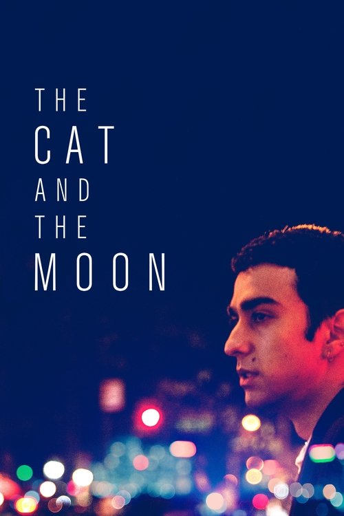The Cat and the Moon постер