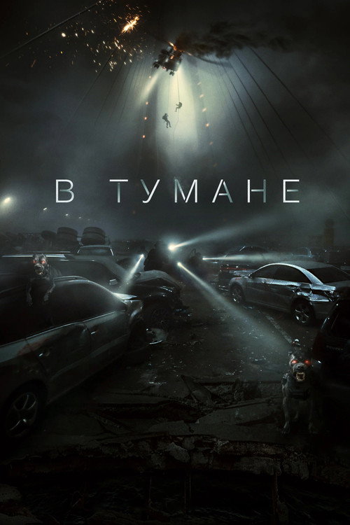 В тумане постер