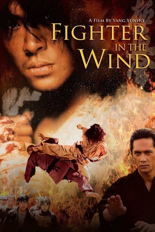 Fighter in the Wind постер