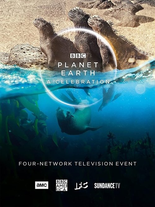 Planet Earth: A Celebration постер