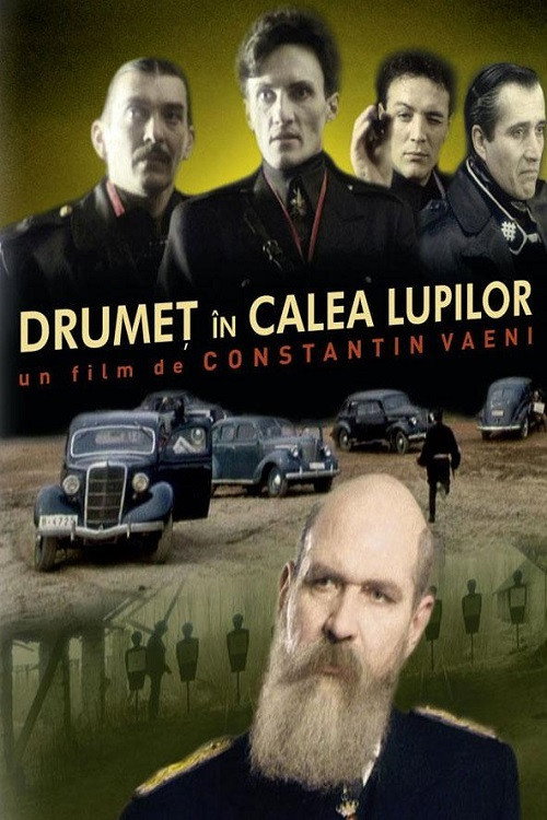 Drumeț în calea lupilor постер