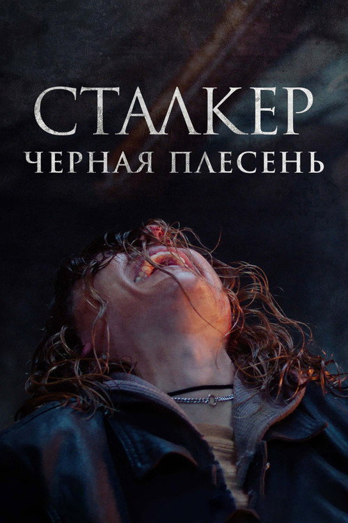 Сталкер. Черная плесень постер