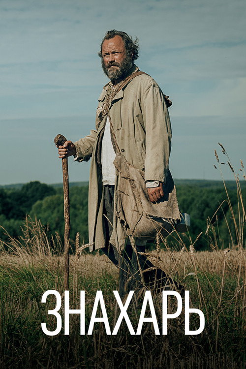 Знахарь постер