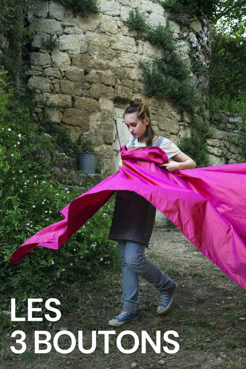 Les 3 Boutons постер