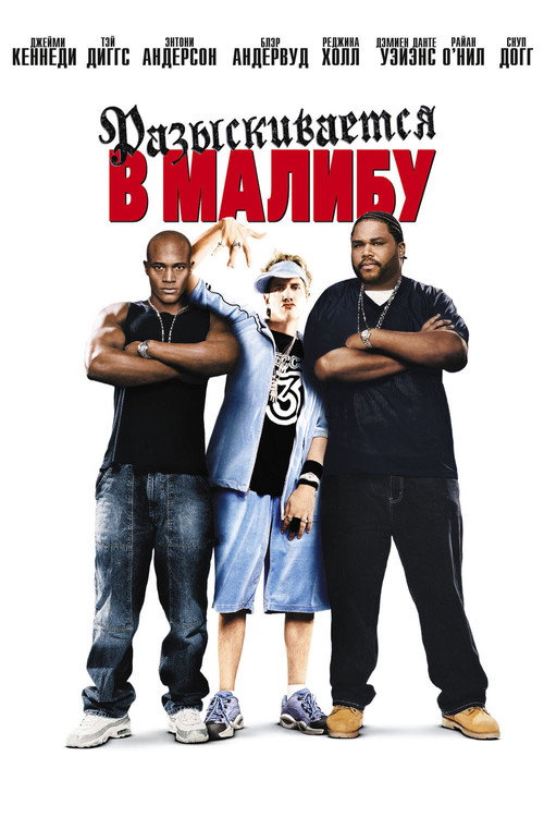 Разыскиваются в Малибу постер