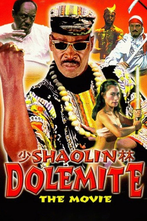 Shaolin Dolemite постер