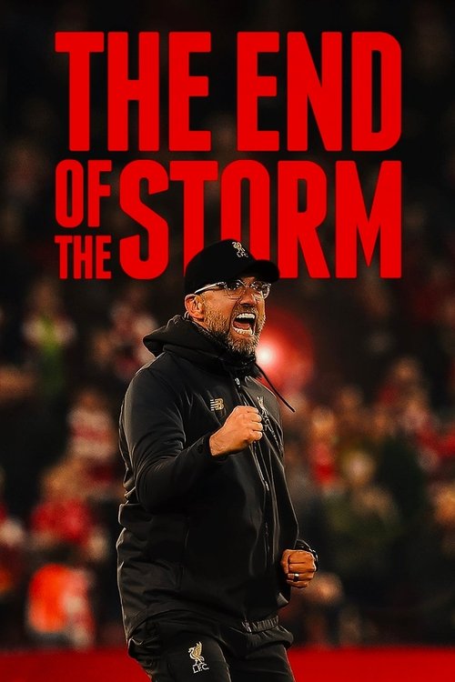 The End of the Storm постер