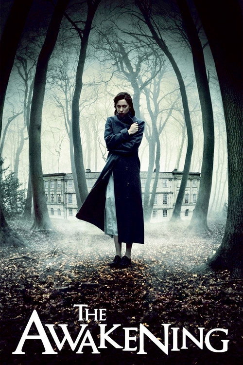 The Awakening постер