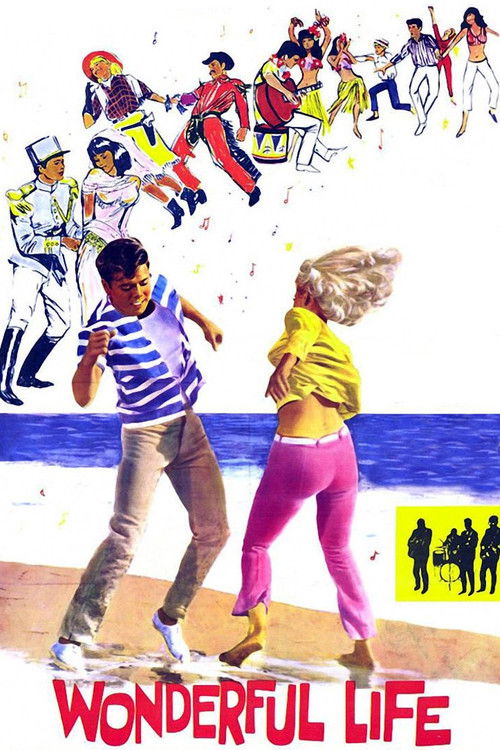 Wonderful Life постер