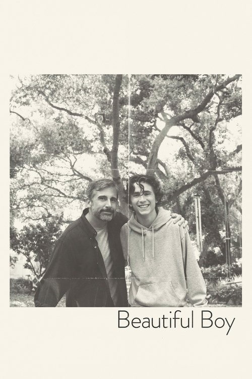 Beautiful Boy постер