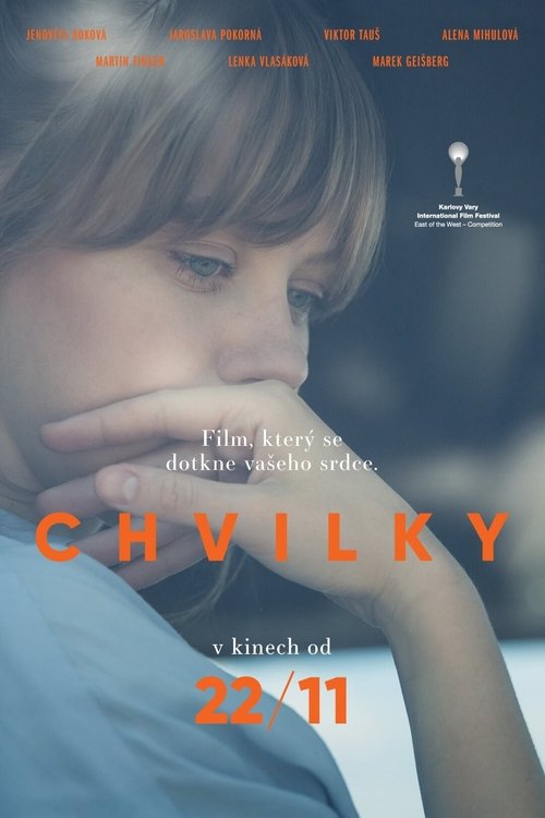 Chvilky постер