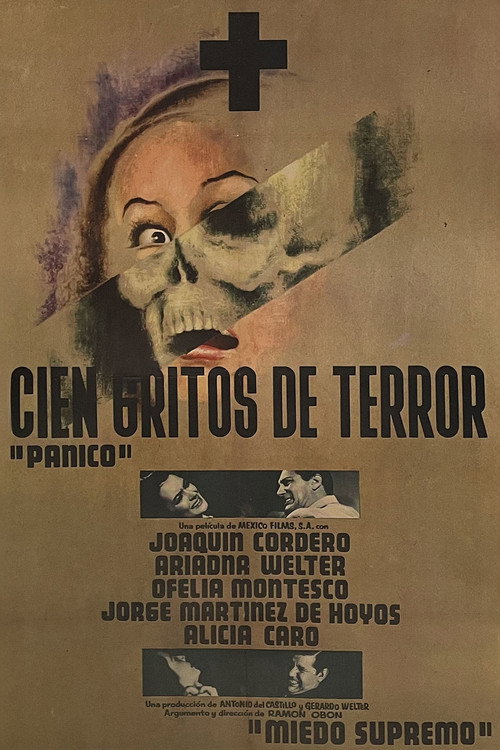 Cien gritos de terror постер
