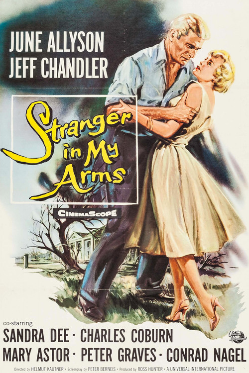 A Stranger in My Arms постер