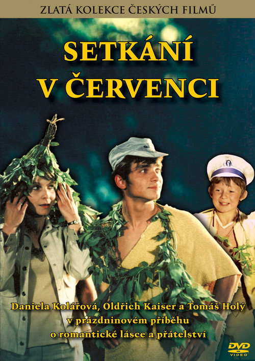 Setkání v červenci постер