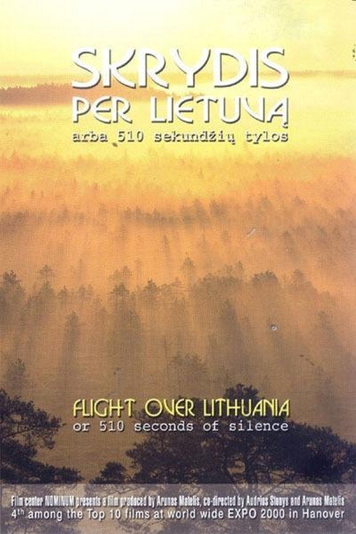 Flight Over Lithuania or 510 Seconds of Silence постер