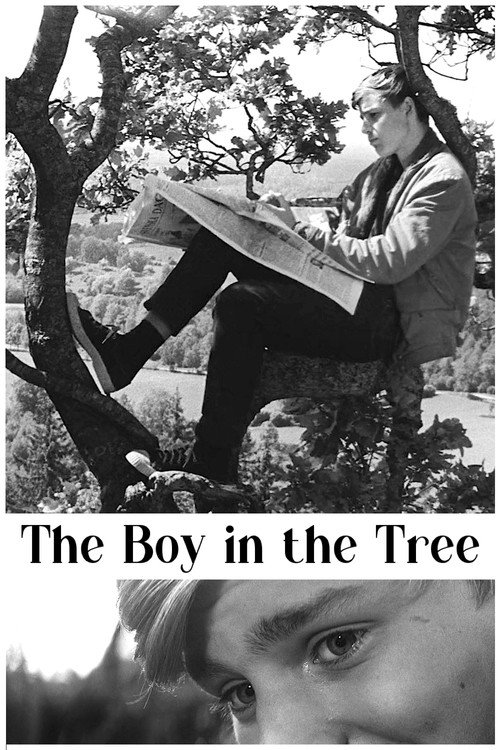 The Boy in the Tree постер