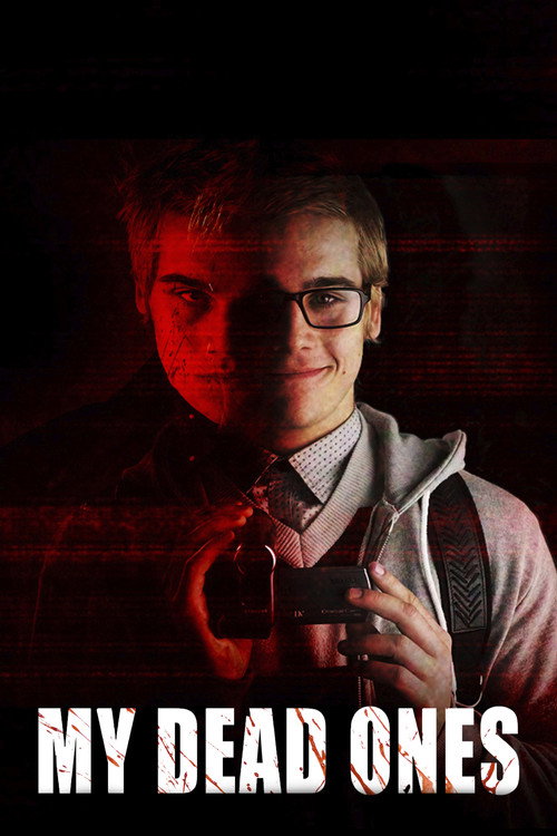 O Segredo de Davi постер