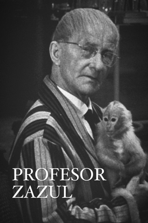 Profesor Zazul постер