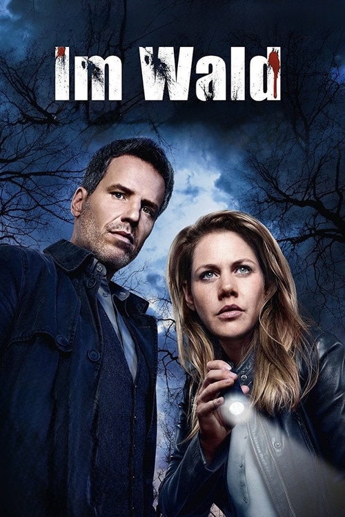 В лесу постер