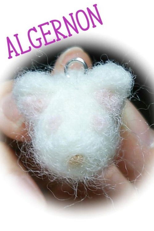 Цветы для Элджернона постер