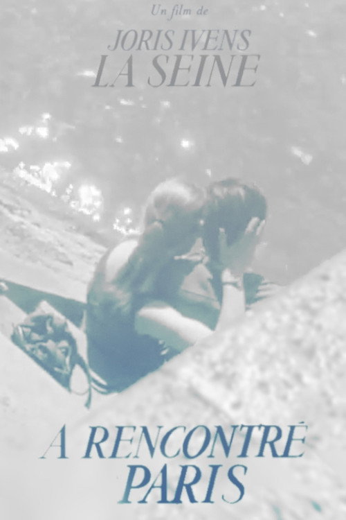 La Seine a rencontré Paris постер