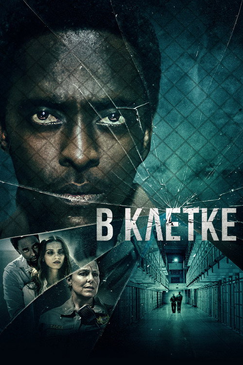 В клетке постер