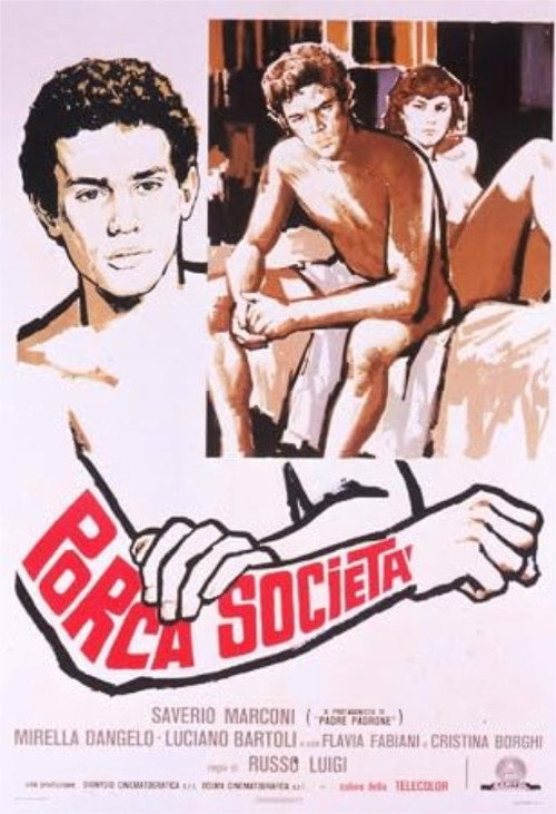 Porca società постер