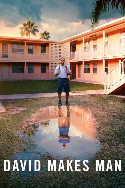 David Makes Man постер